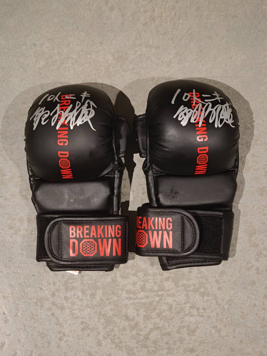 10人ニキ身勝手の極意 極 サイングローブ glove