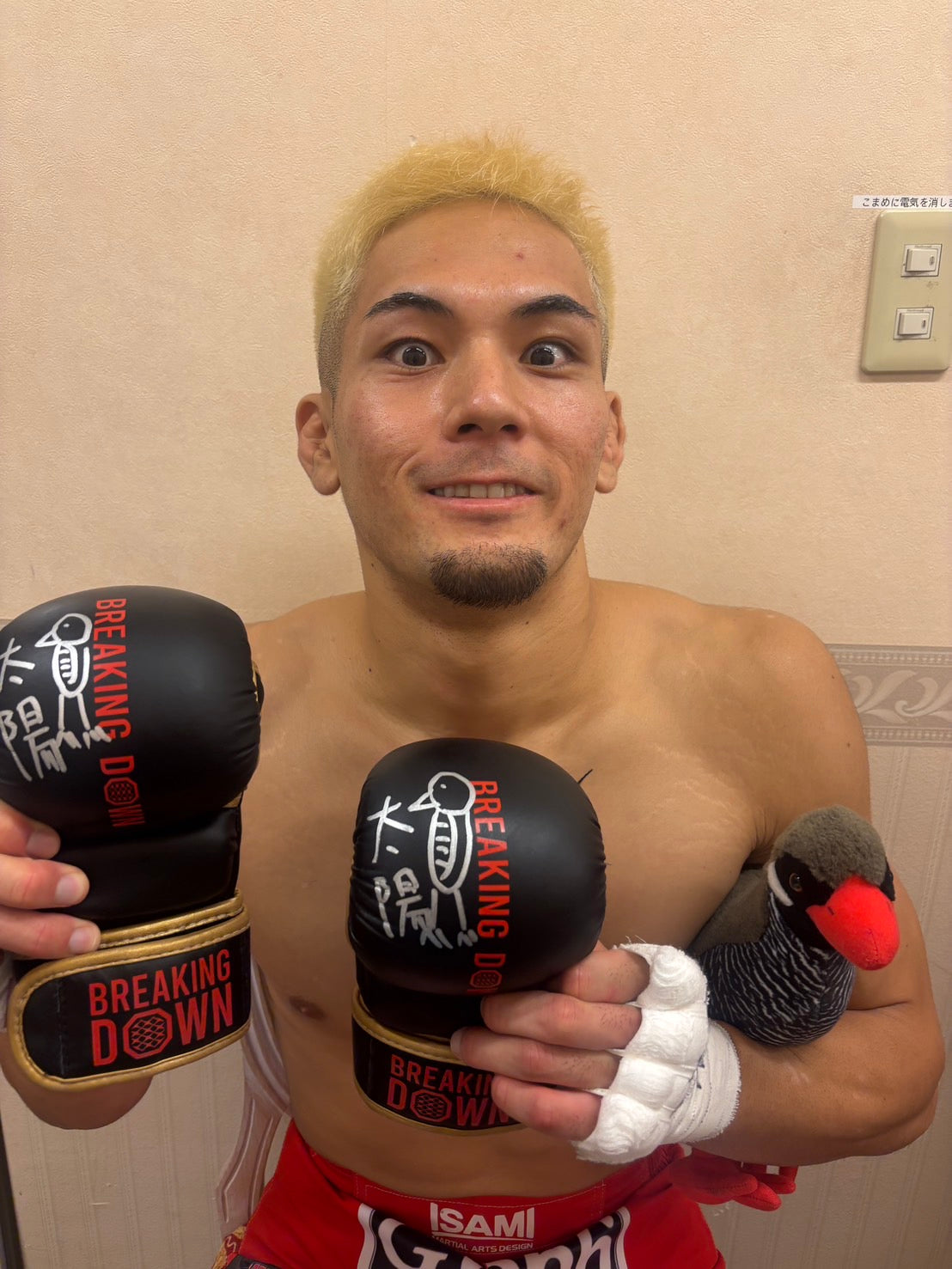 BreakingDown18.5 太陽選手サイン入りグローブ