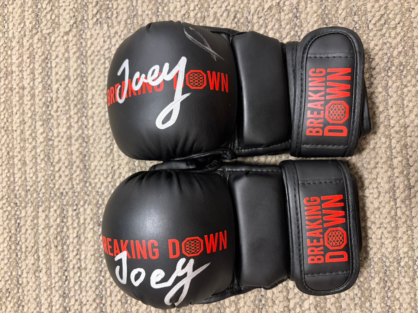 JOY サイングローブ glove