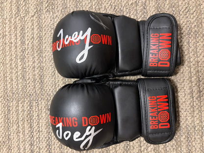 JOY サイングローブ glove