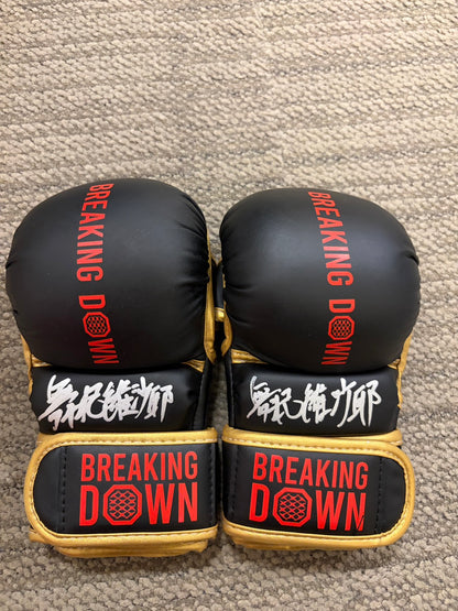 舞杞維沙耶 サイングローブ glove