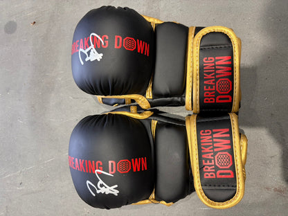 井上力斗 サイングローブ glove