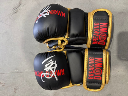Takaya サイングローブ glove