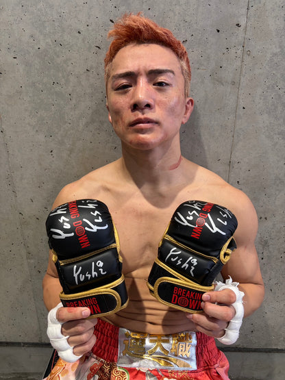 YUSHI サイングローブ