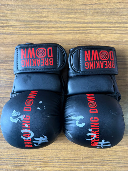 こうき サイングローブ glove