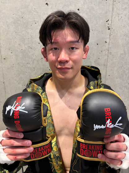 龍之介 サイングローブ