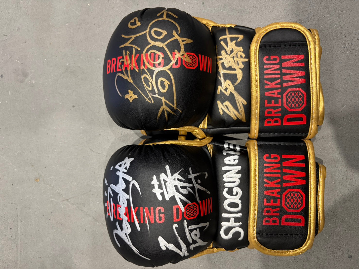 三河拳士 サイングローブ glove