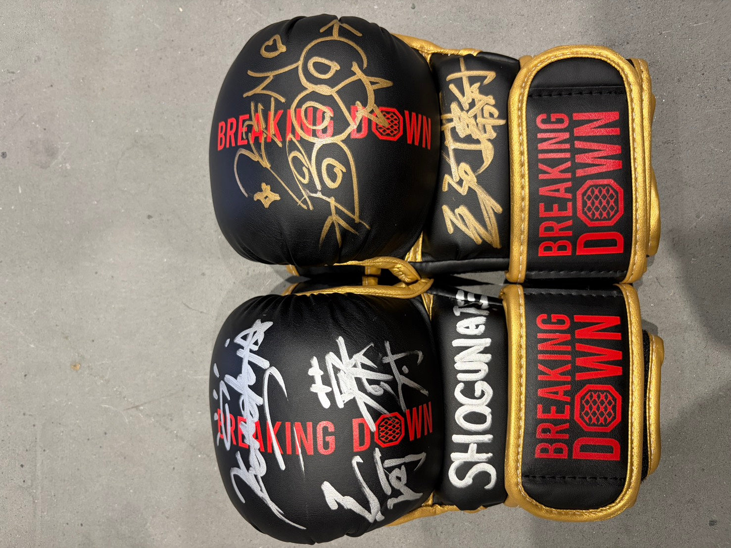 三河拳士 サイングローブ glove