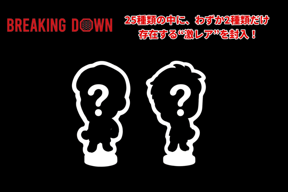 ミステリーボックス BreakingDown アクリルスタンド ミステリーボックス（全25種