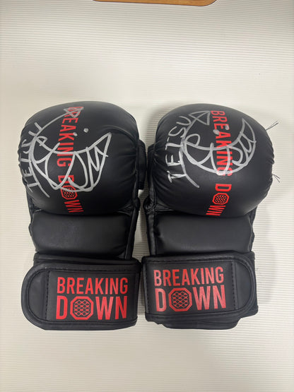 BreakingDown17.5 TETSU選手サイン入りグローブ