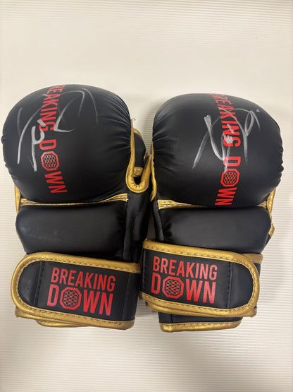 BreakingDown17.5 竹見浩史郎選手サイン入りグローブ