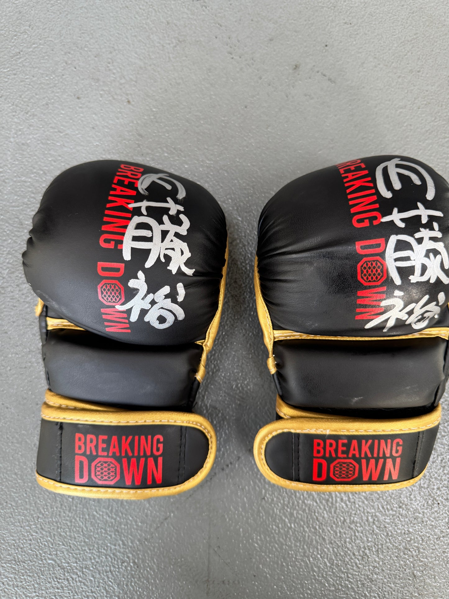 BreakingDown17 内藤裕選手サイン入りグローブ