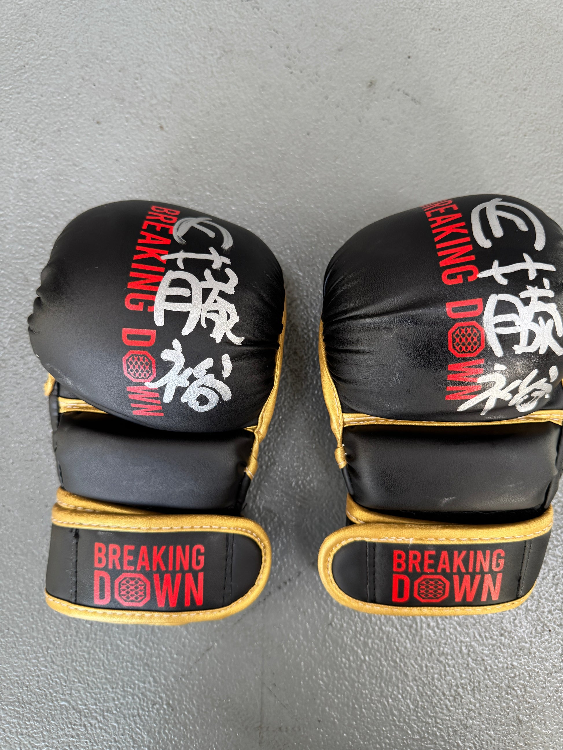 BreakingDown17 内藤裕選手サイン入りグローブ