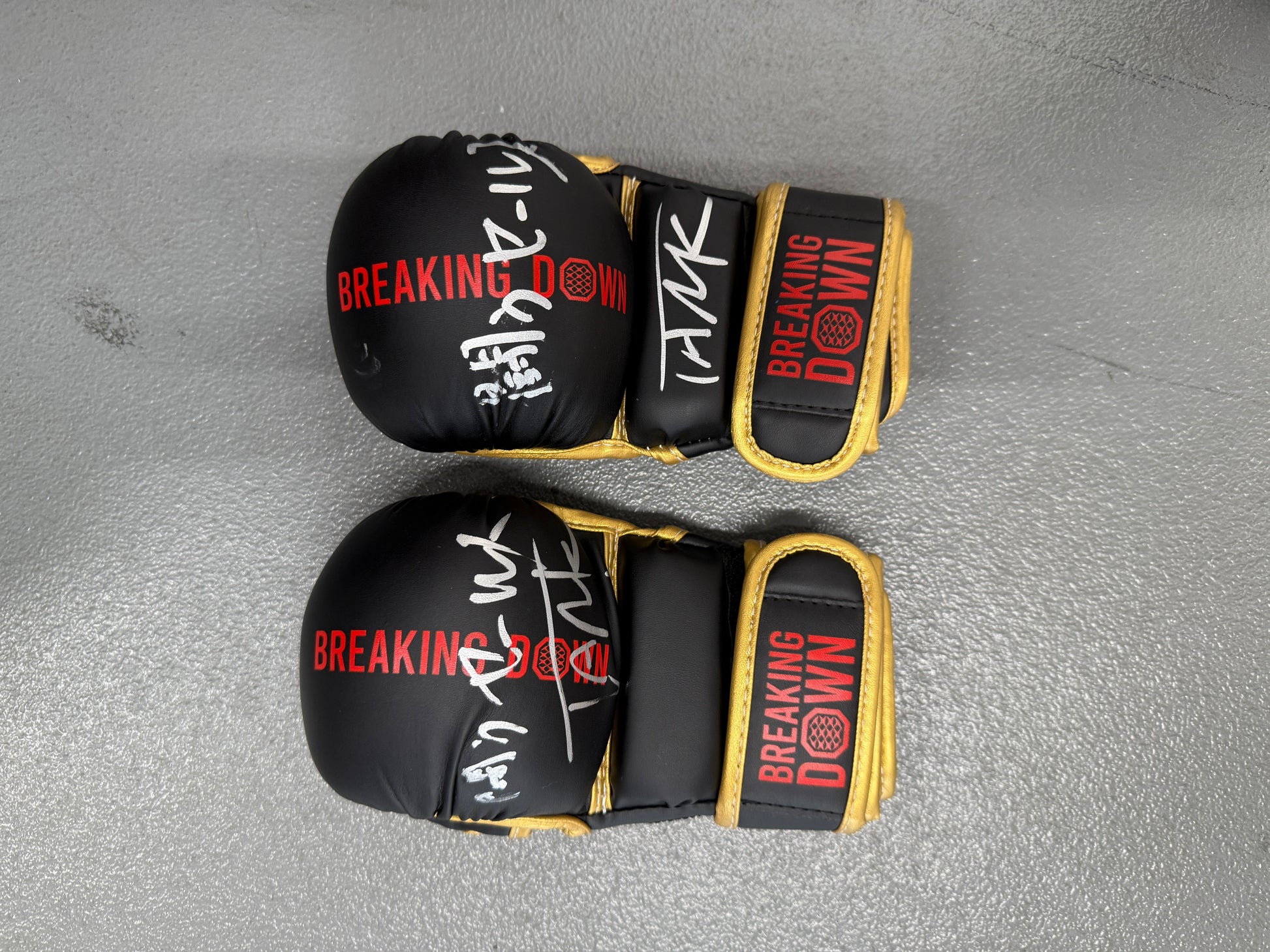 BreakingDown17 タンク内藤選手サイン入りグローブ