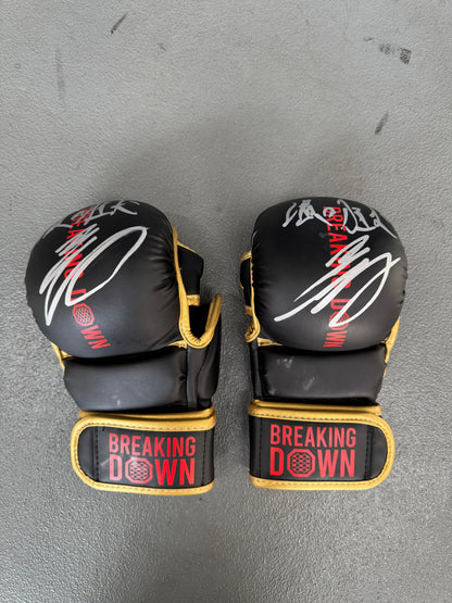 BreakingDown17 黒石高大選手サイン入りグローブ