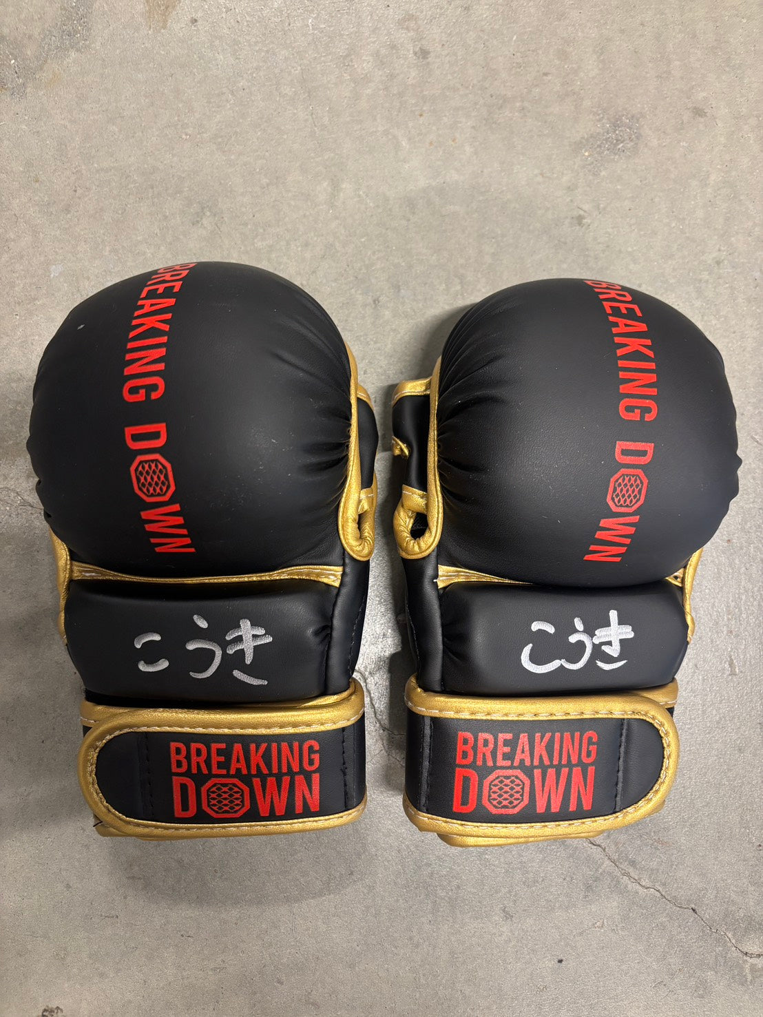 こうき サイングローブ