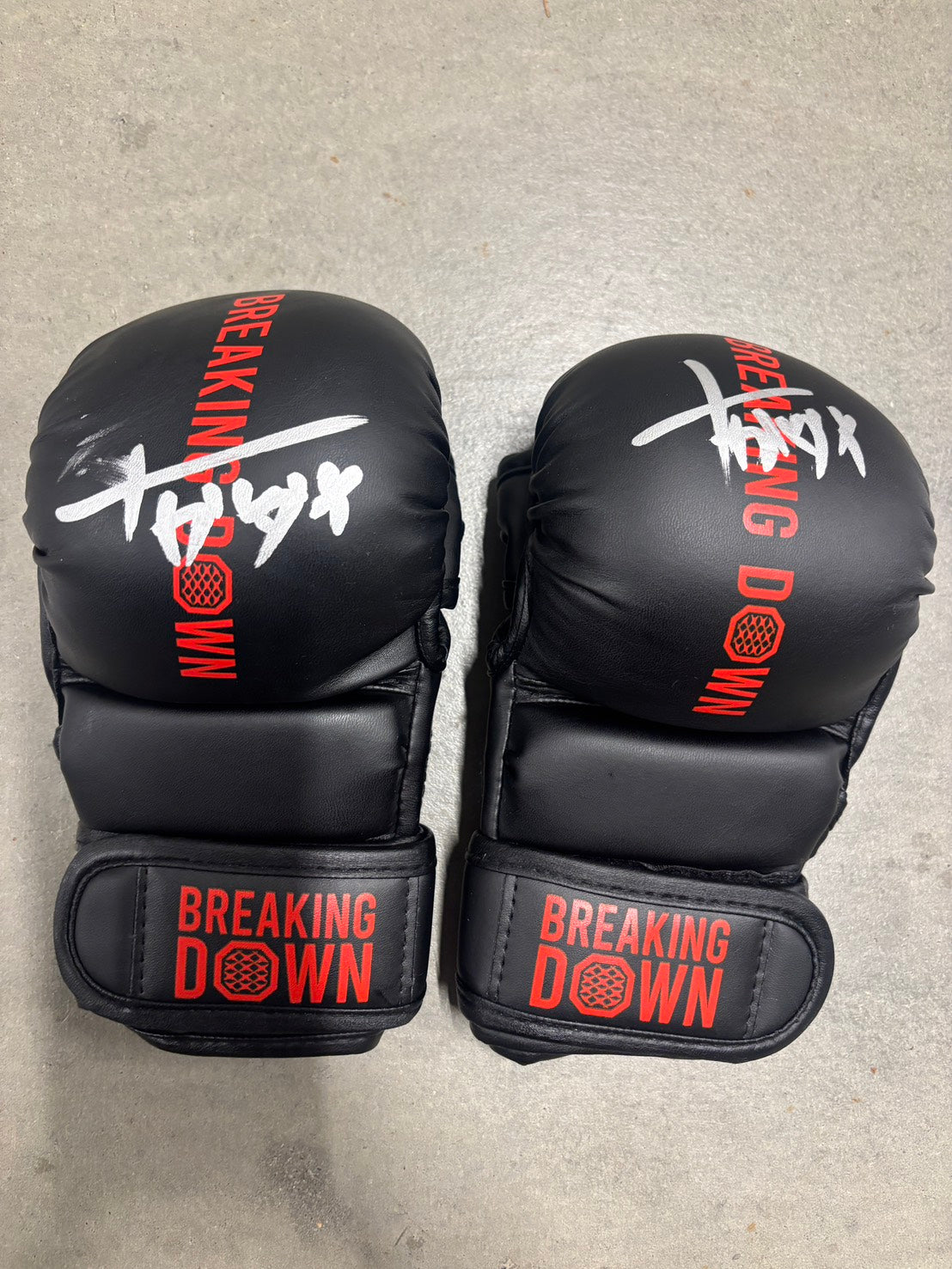 ナガダイ サイングローブ