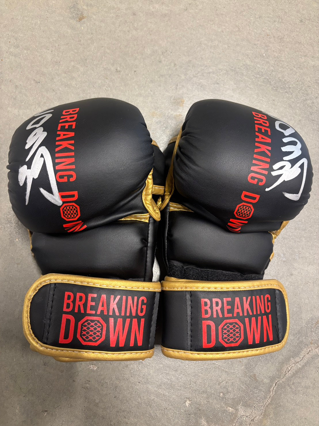 ヒロ三河 サイングローブ