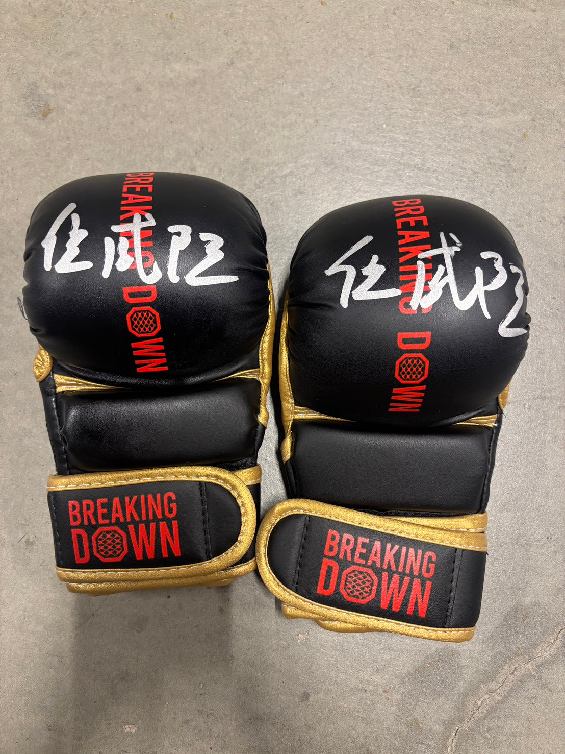 ウェイ・ウェイヤン サイングローブ