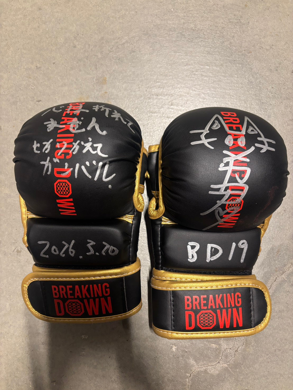 メカ君 サイングローブ glove