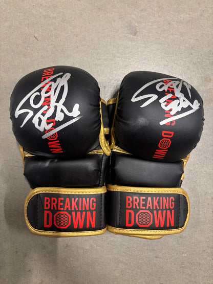 サップ西成 サイングローブ glove