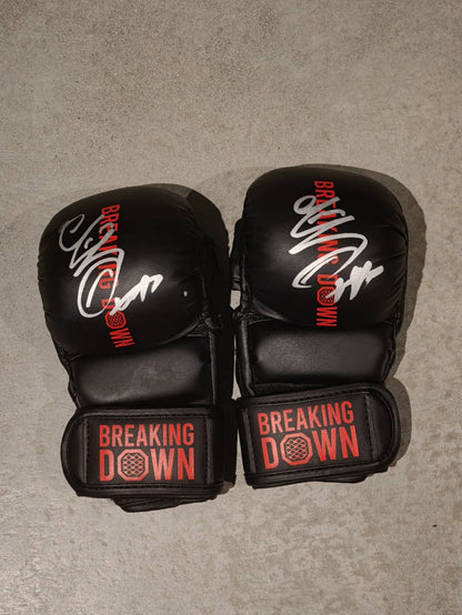 てる サイングローブ glove