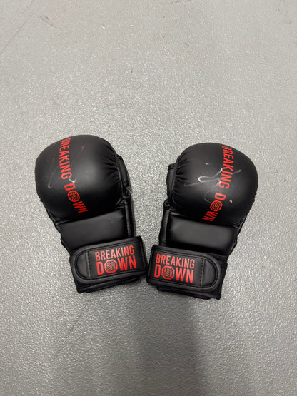 BreakingDown17 赤パンニキ選手サイン入りグローブ