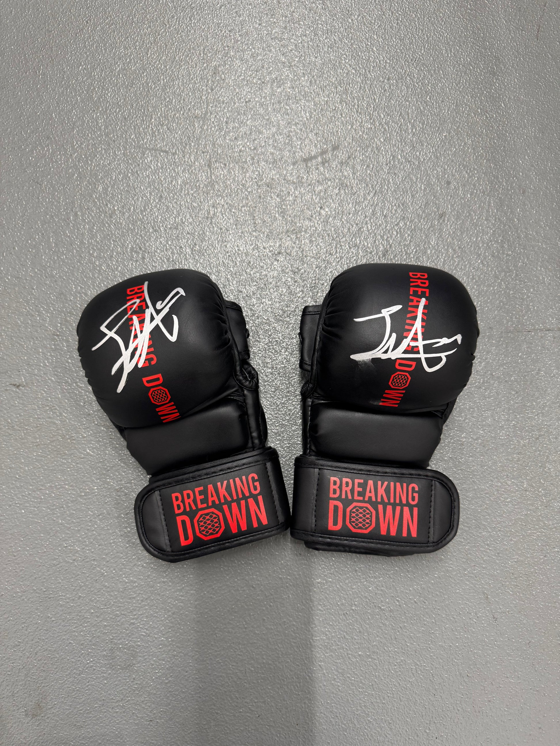 BreakingDown17 細川一颯選手サイン入りグローブ